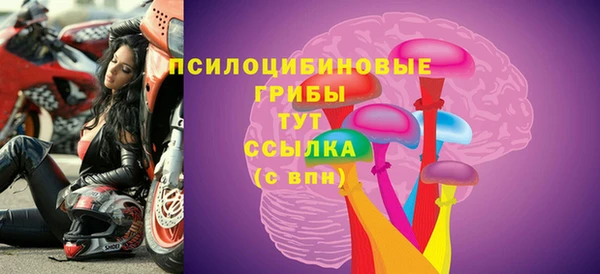 трава Новокубанск