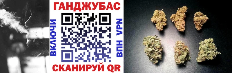 где можно купить   Щёлкино  Конопля VHQ 